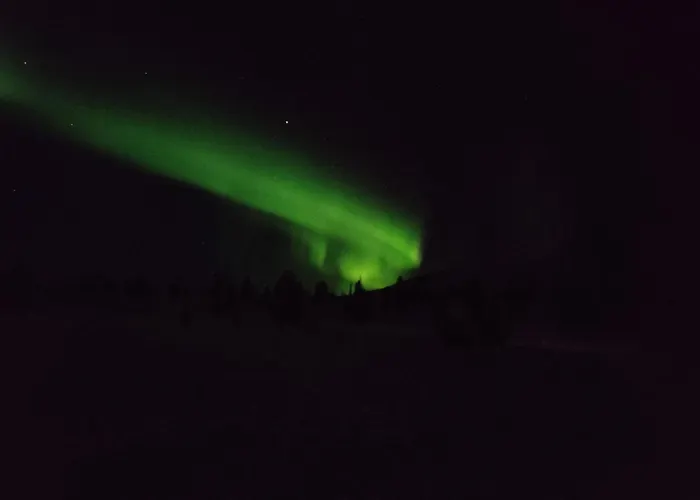 Yllaeksen Metsaepirtti - Ulkoilijan Koti