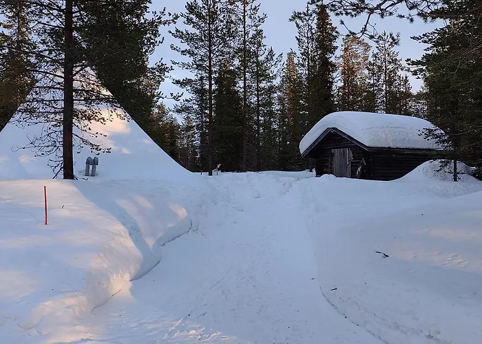 Yllaeksen Metsaepirtti - Ulkoilijan Koti