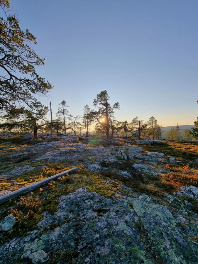 Yllaeksen Metsaepirtti - Ulkoilijan Koti Äkäslompolo